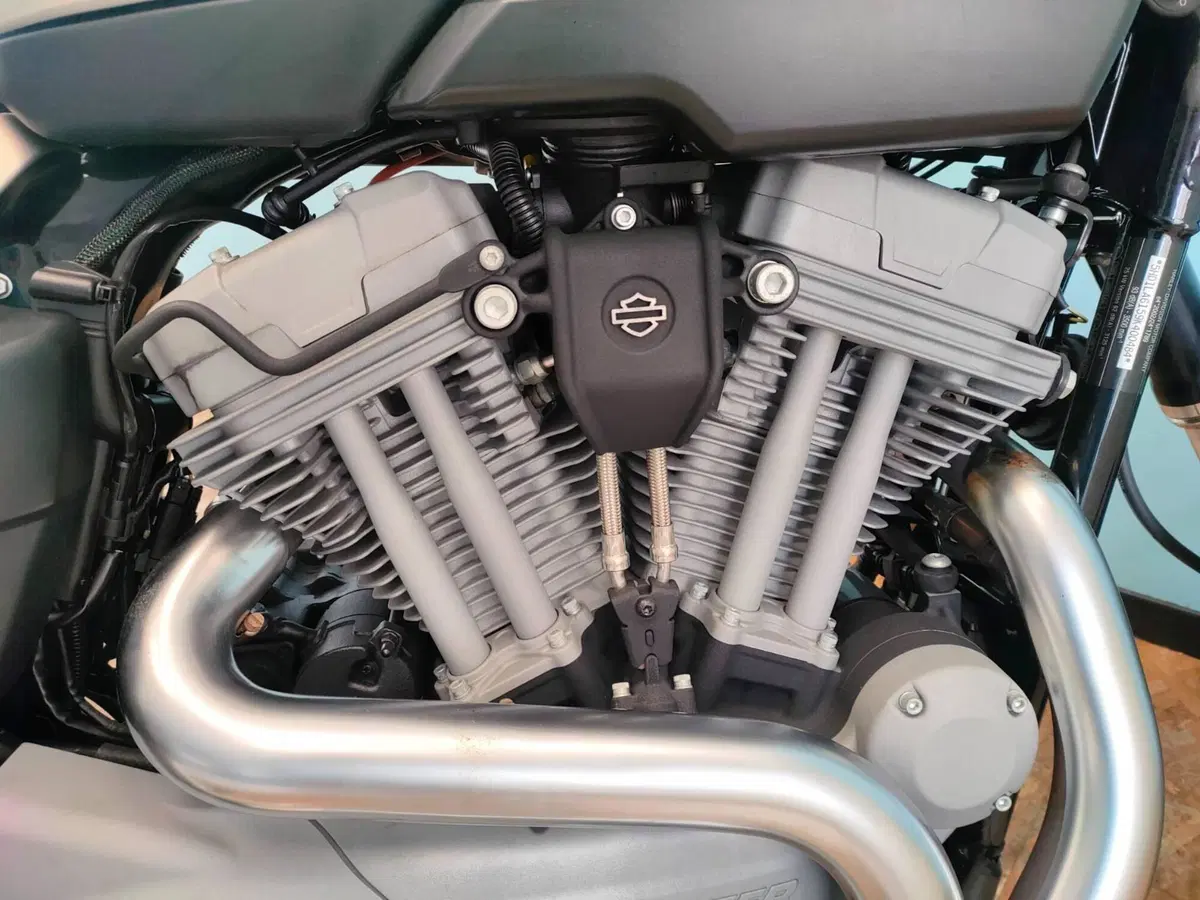 Harley-Davidson 1200 XR (2009 - 12) (14)