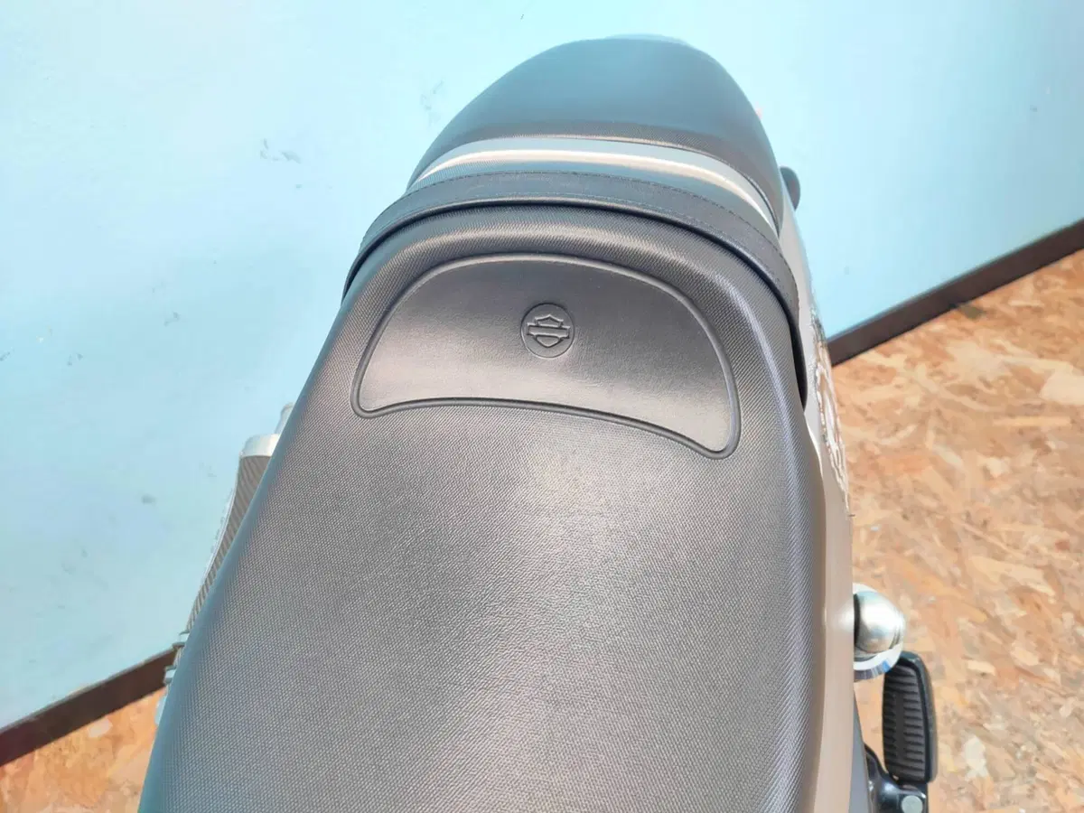 Harley-Davidson 1200 XR (2009 - 12) (15)