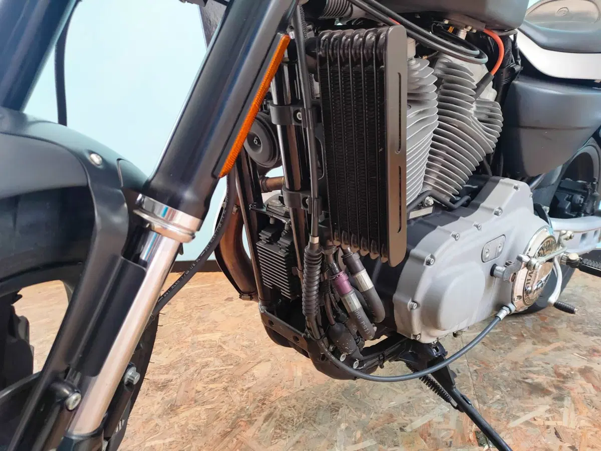 Harley-Davidson 1200 XR (2009 - 12) (17)