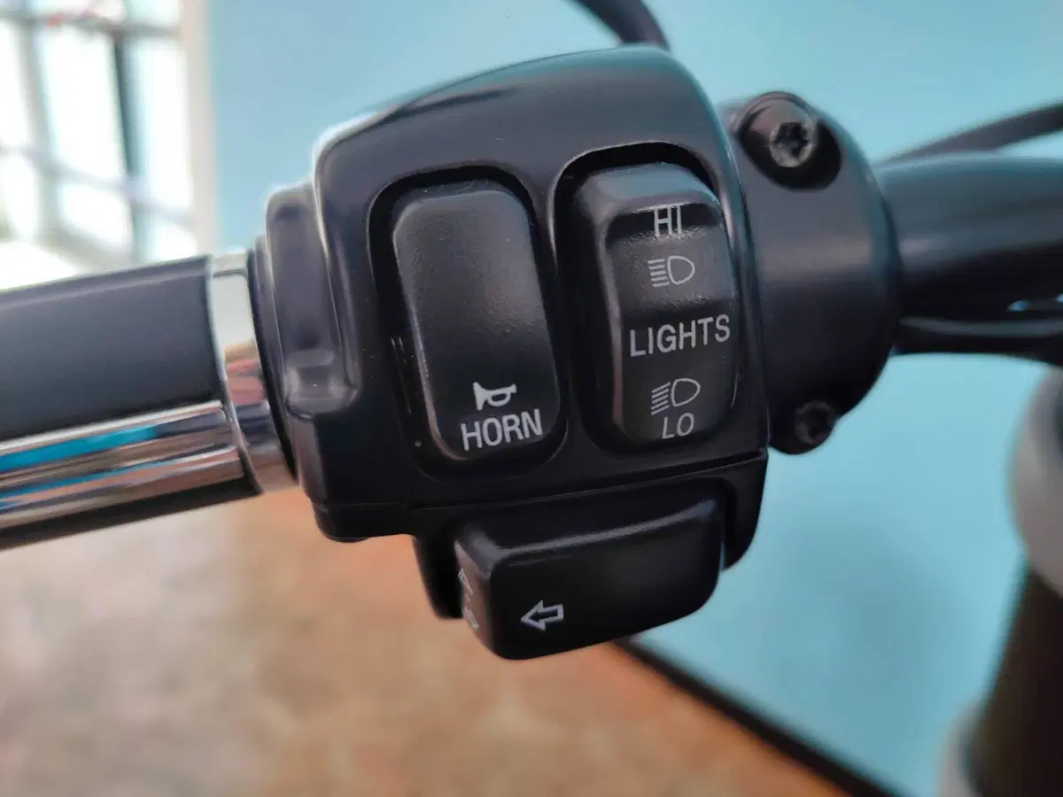 Harley-Davidson 1200 XR (2009 - 12) (19)