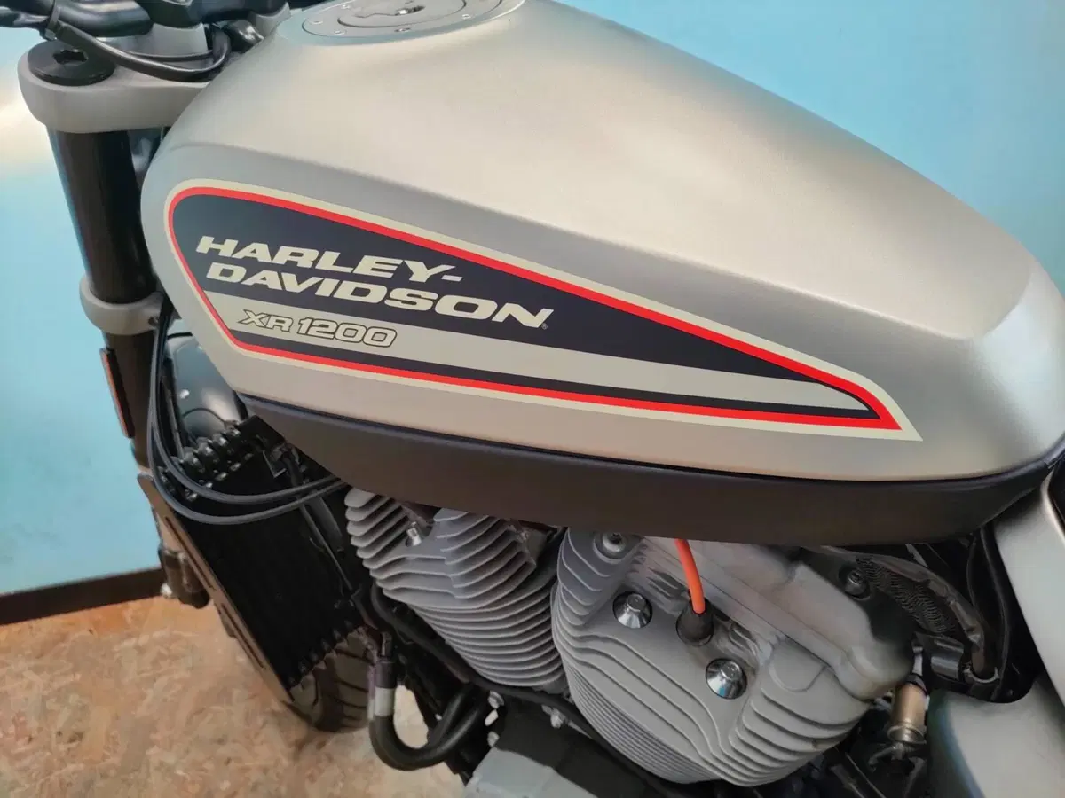 Harley-Davidson 1200 XR (2009 - 12) (20)