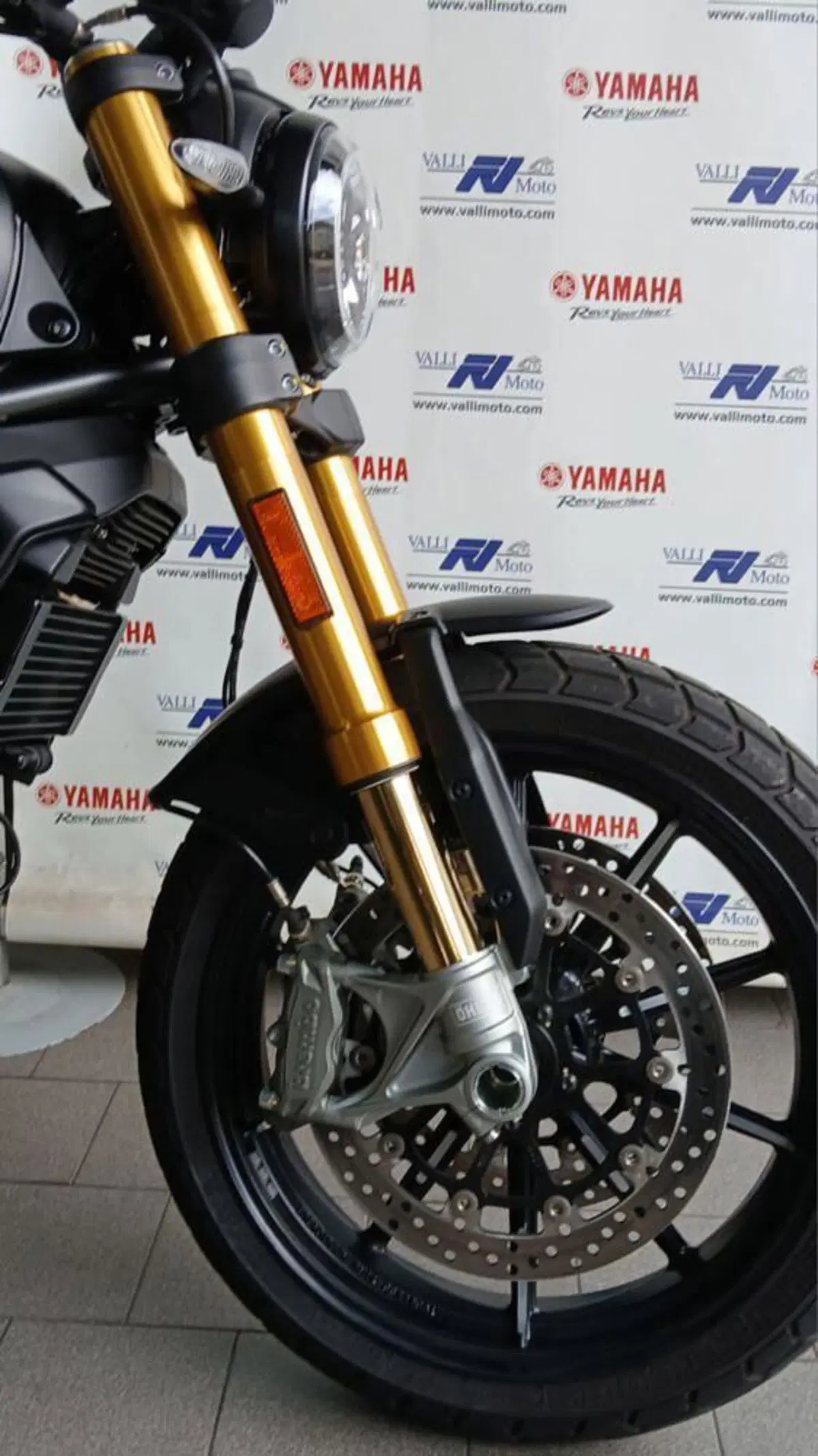 Ducati Scrambler 1100 Sport Pro (2020 - 25) (5)
