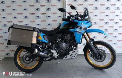 Yamaha T&eacute;n&eacute;r&eacute; 700 Rally (2025 - 26) usata
