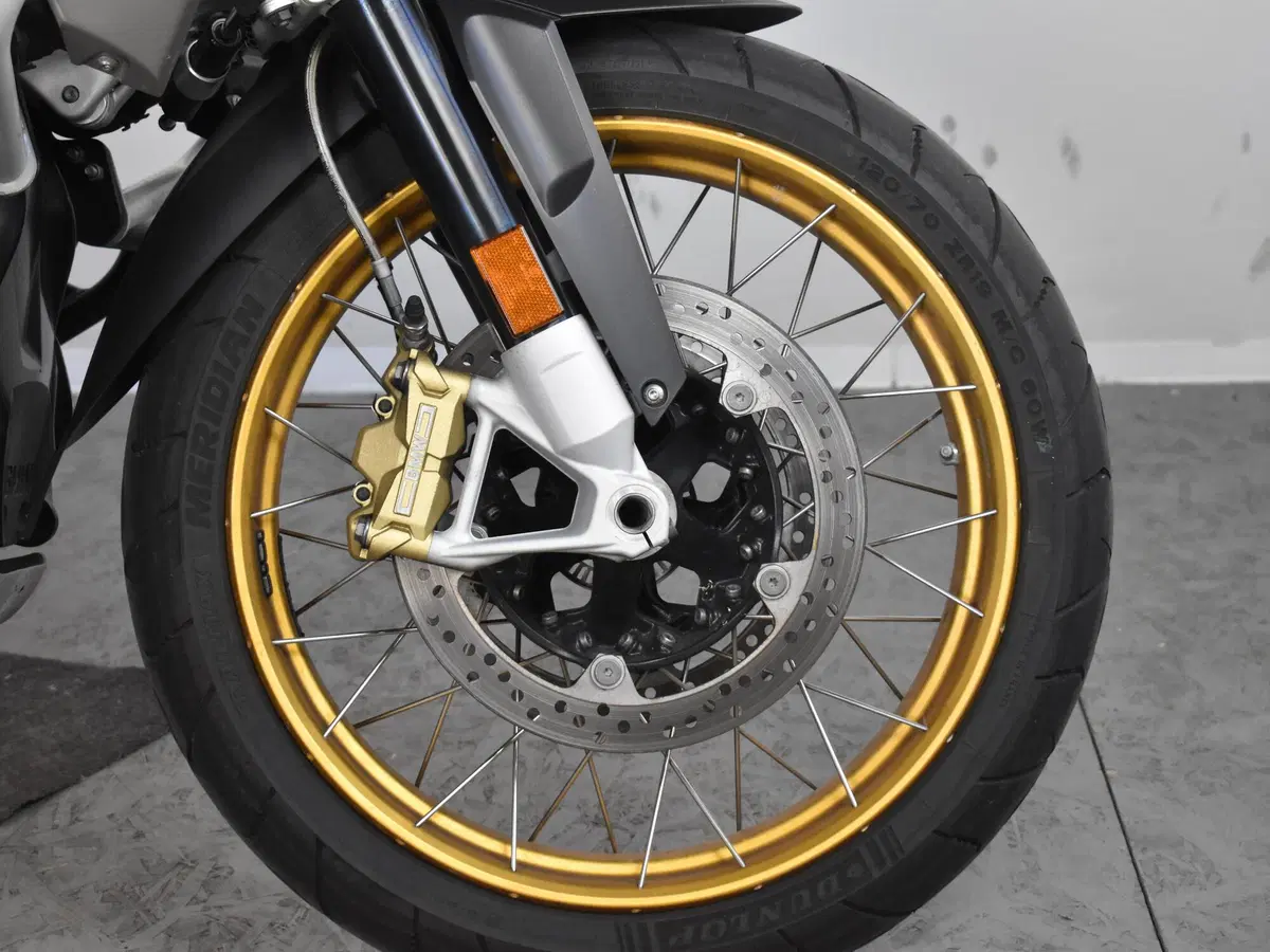 Bmw R 1250 GS (2019 - 20) (13)