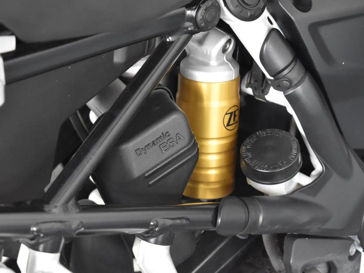 Bmw R 1250 GS (2019 - 20) (20)