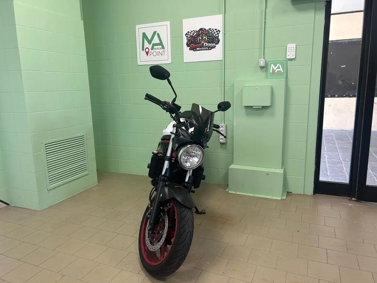 Suzuki SV650 (2021 - 24) (3)