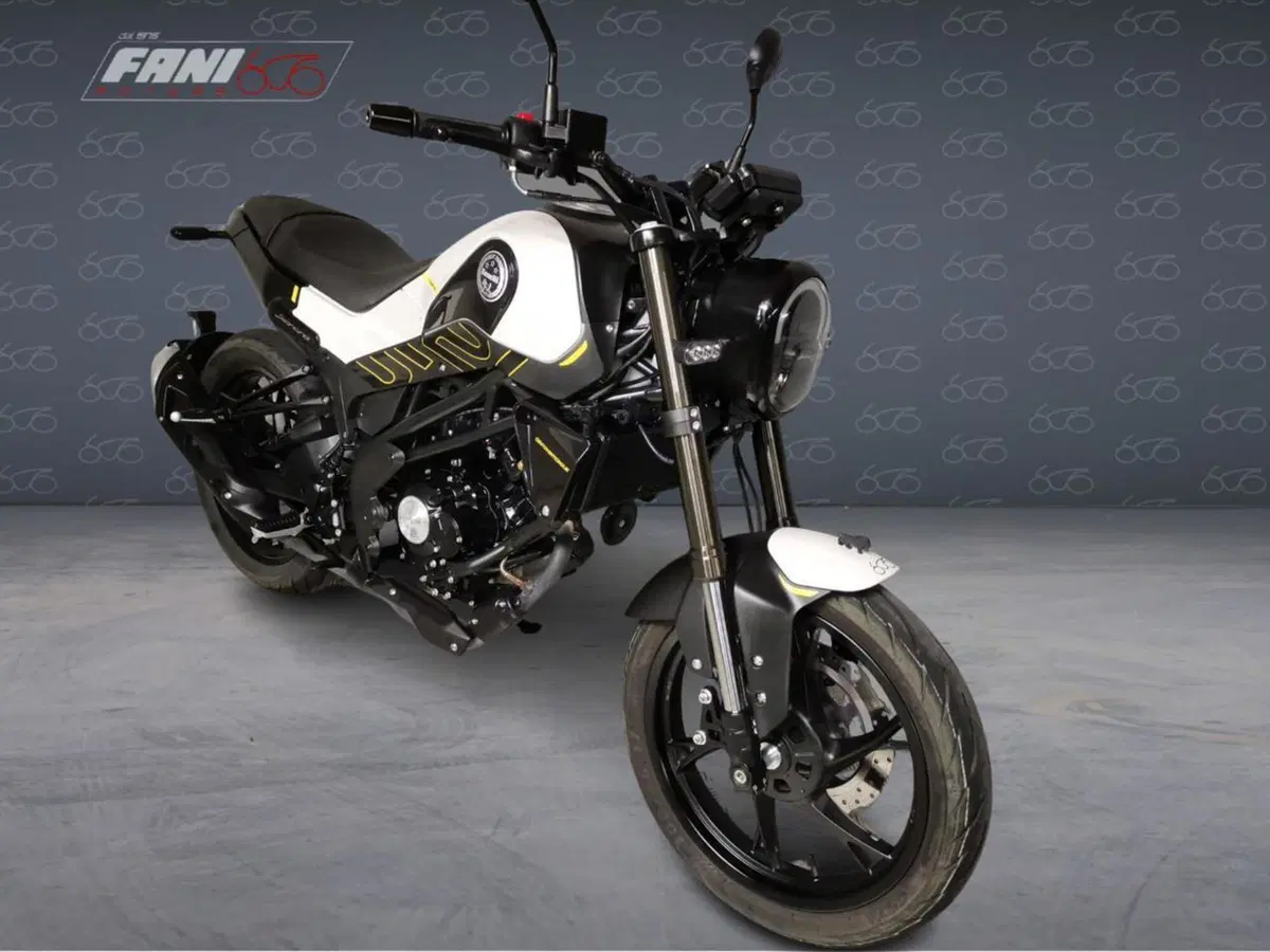 Benelli Leoncino 125 (2022 - 25) (7)