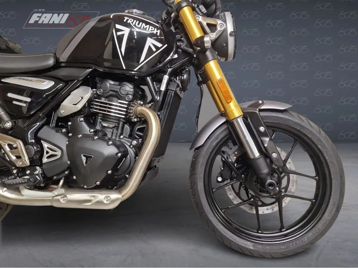 Triumph Speed 400 (2024 - 26) (2)