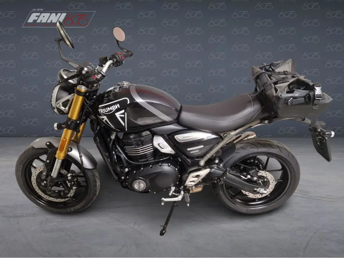 Triumph Speed 400 (2024 - 26) (6)