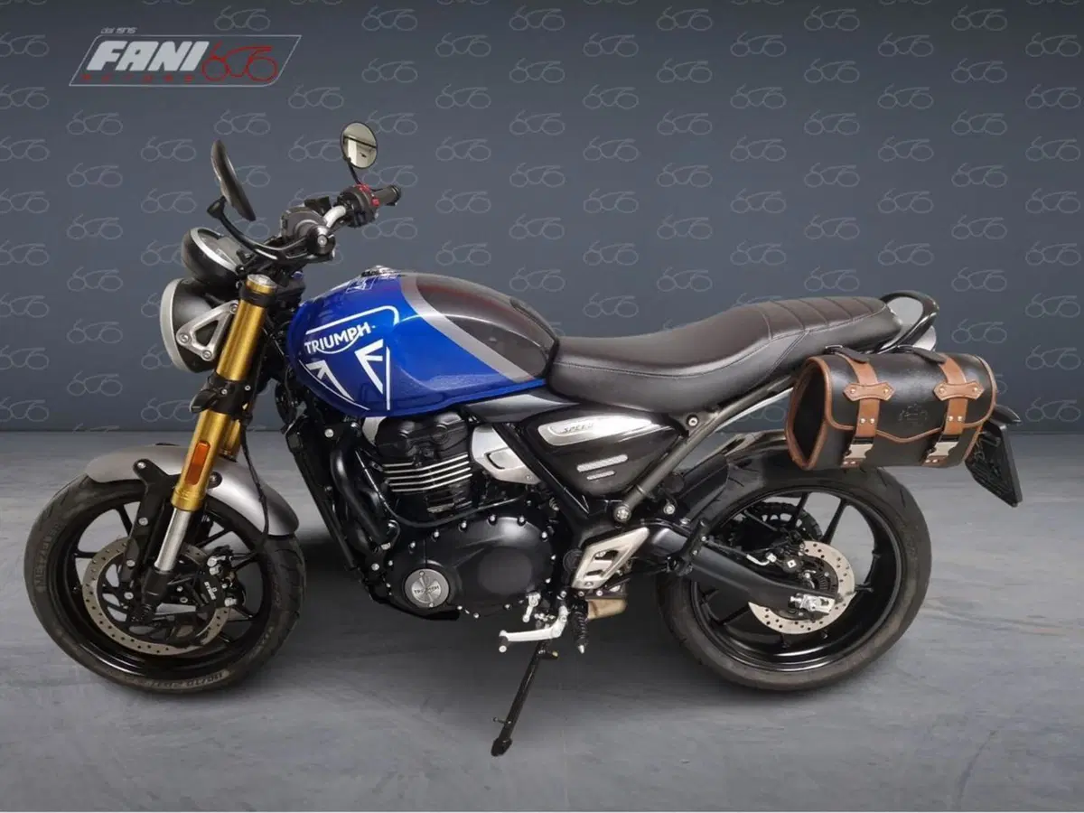 Triumph Speed 400 (2024 - 26) (3)