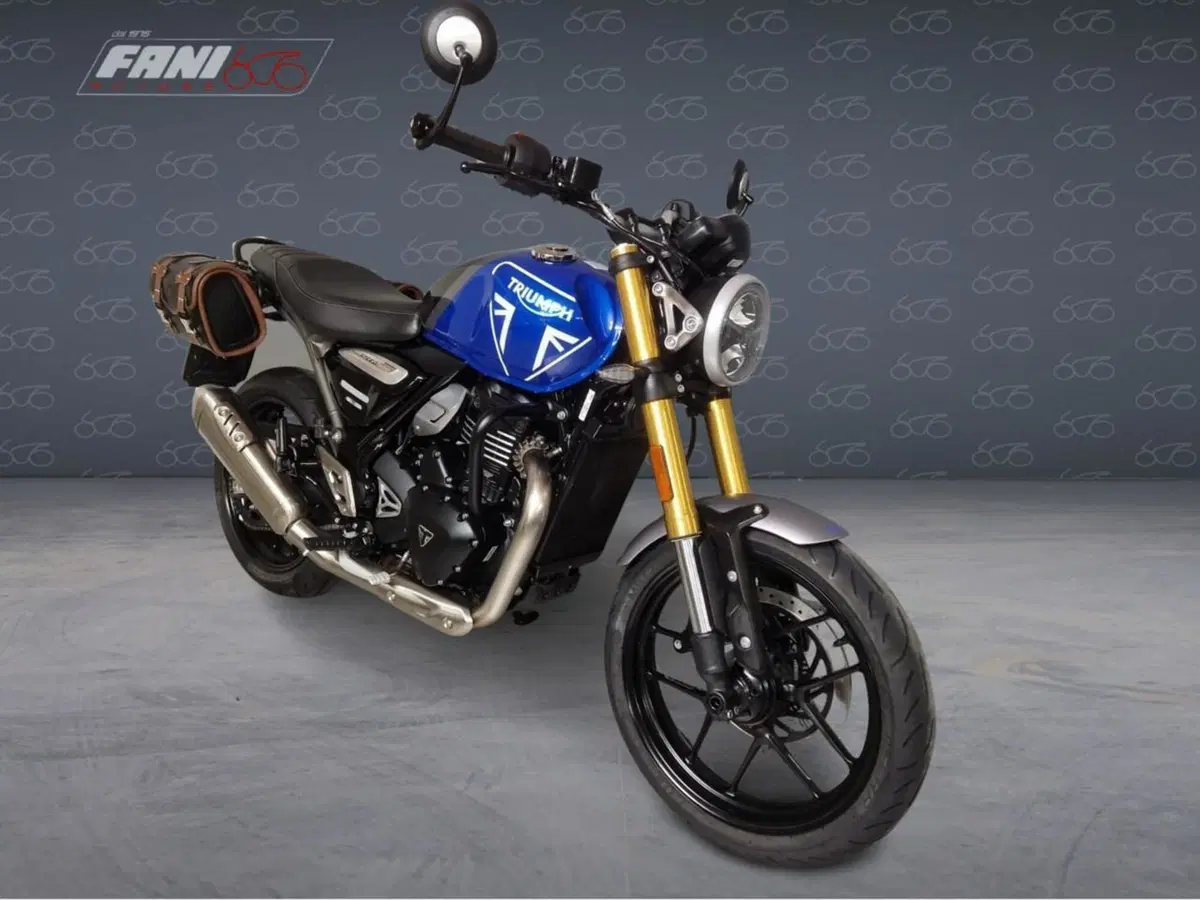 Triumph Speed 400 (2024 - 26) (7)