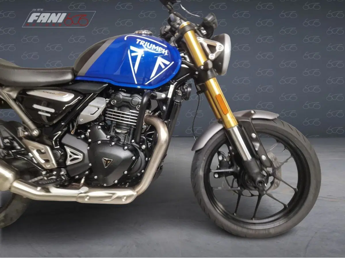 Triumph Speed 400 (2024 - 26) (6)