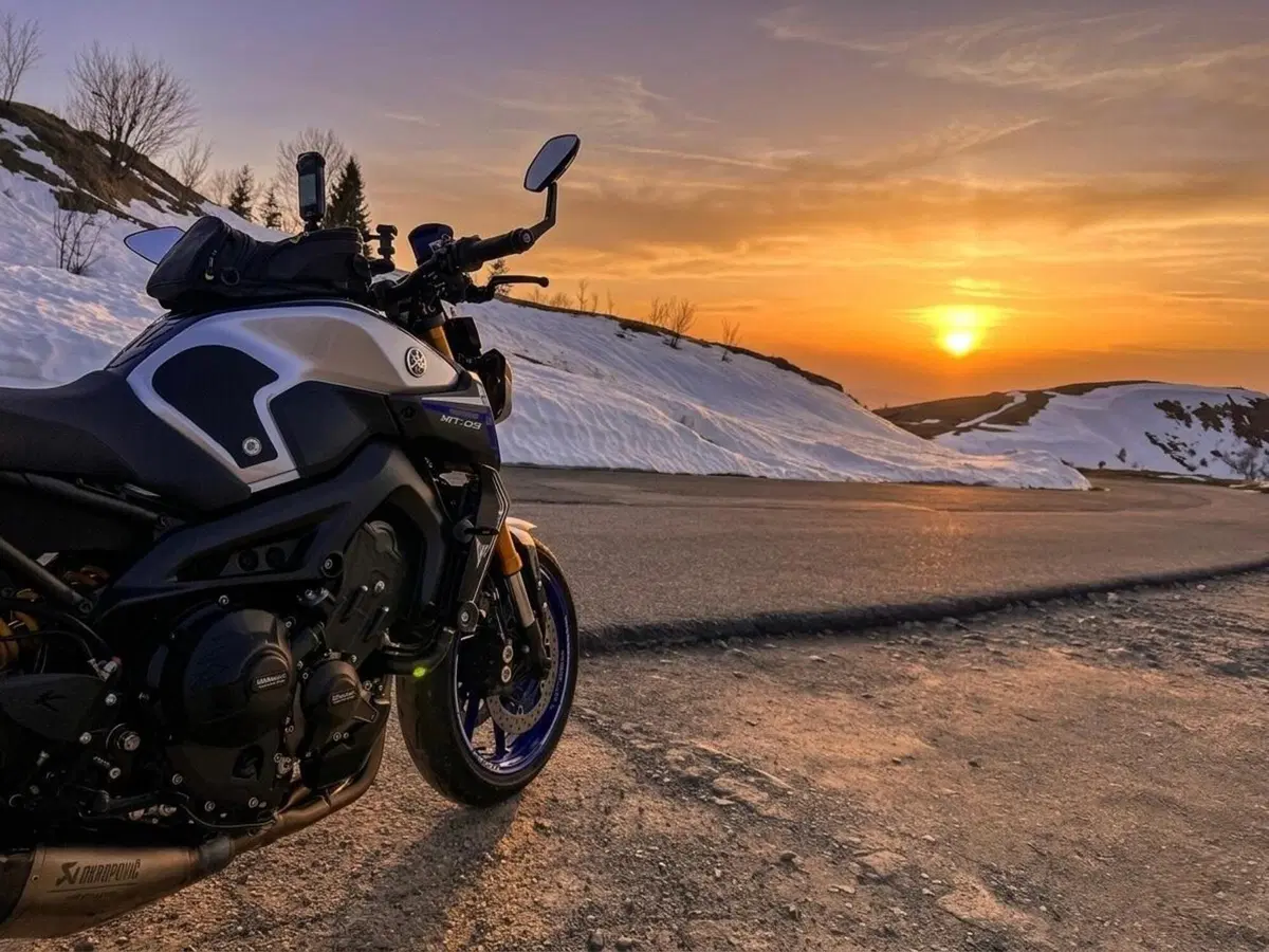 Yamaha MT-09 SP (2018 - 20) (13)