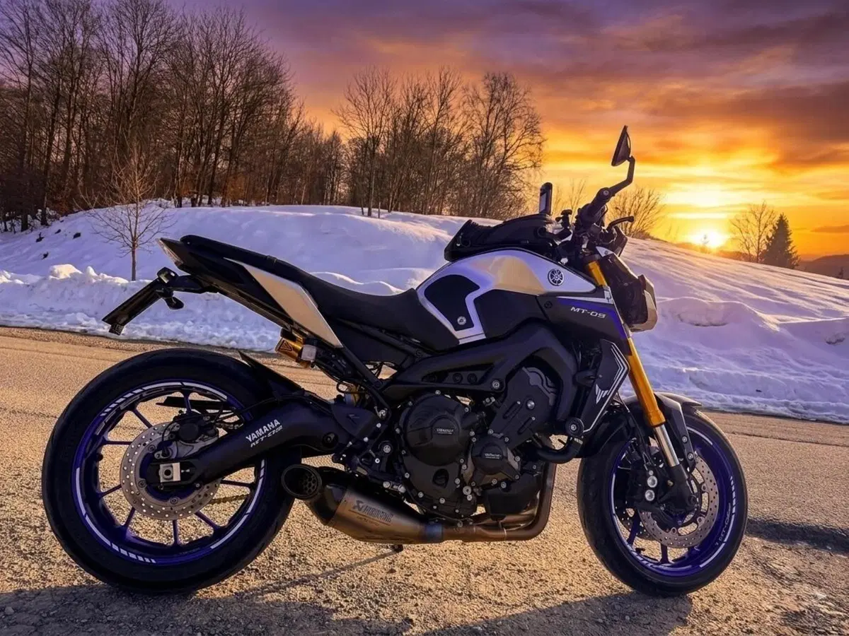 Yamaha MT-09 SP (2018 - 20) (14)