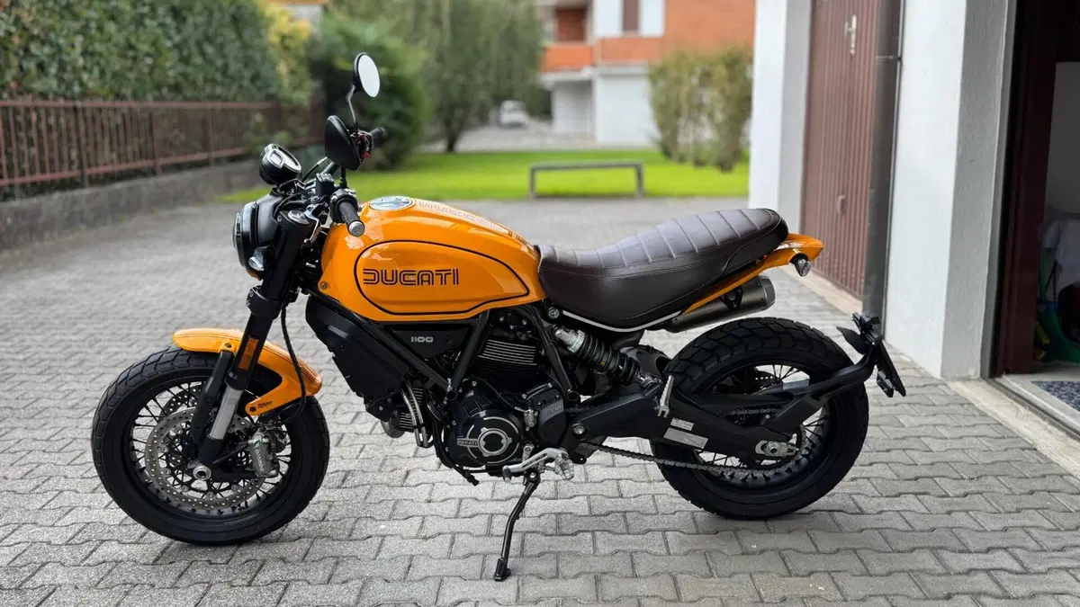 Ducati Scrambler 1100 Tribute Pro (2022 - 24) (3)