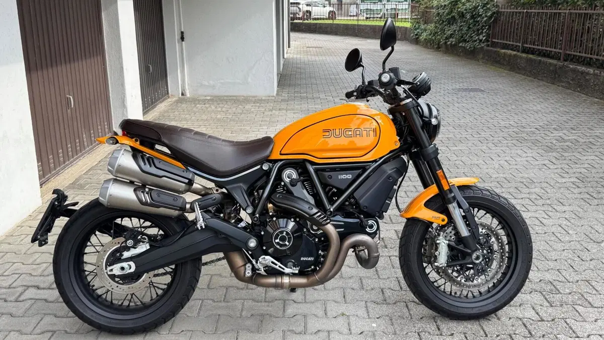 Ducati Scrambler 1100 Tribute Pro (2022 - 24) (4)