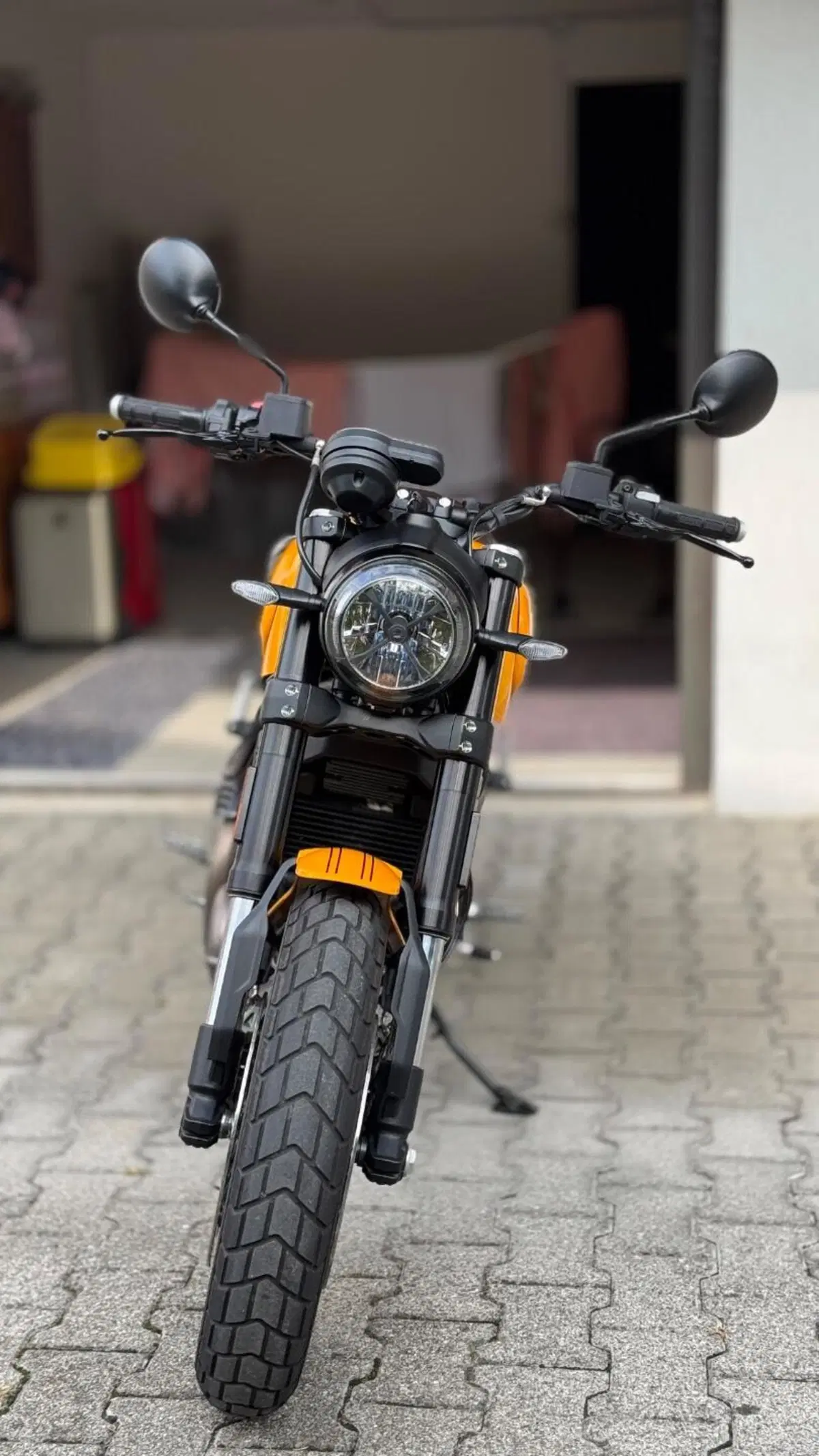 Ducati Scrambler 1100 Tribute Pro (2022 - 24) (5)