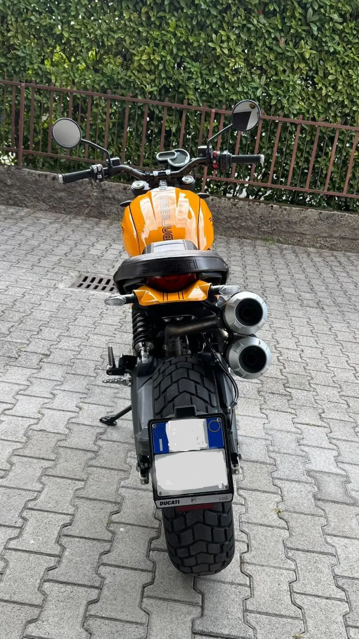 Ducati Scrambler 1100 Tribute Pro (2022 - 24) (6)