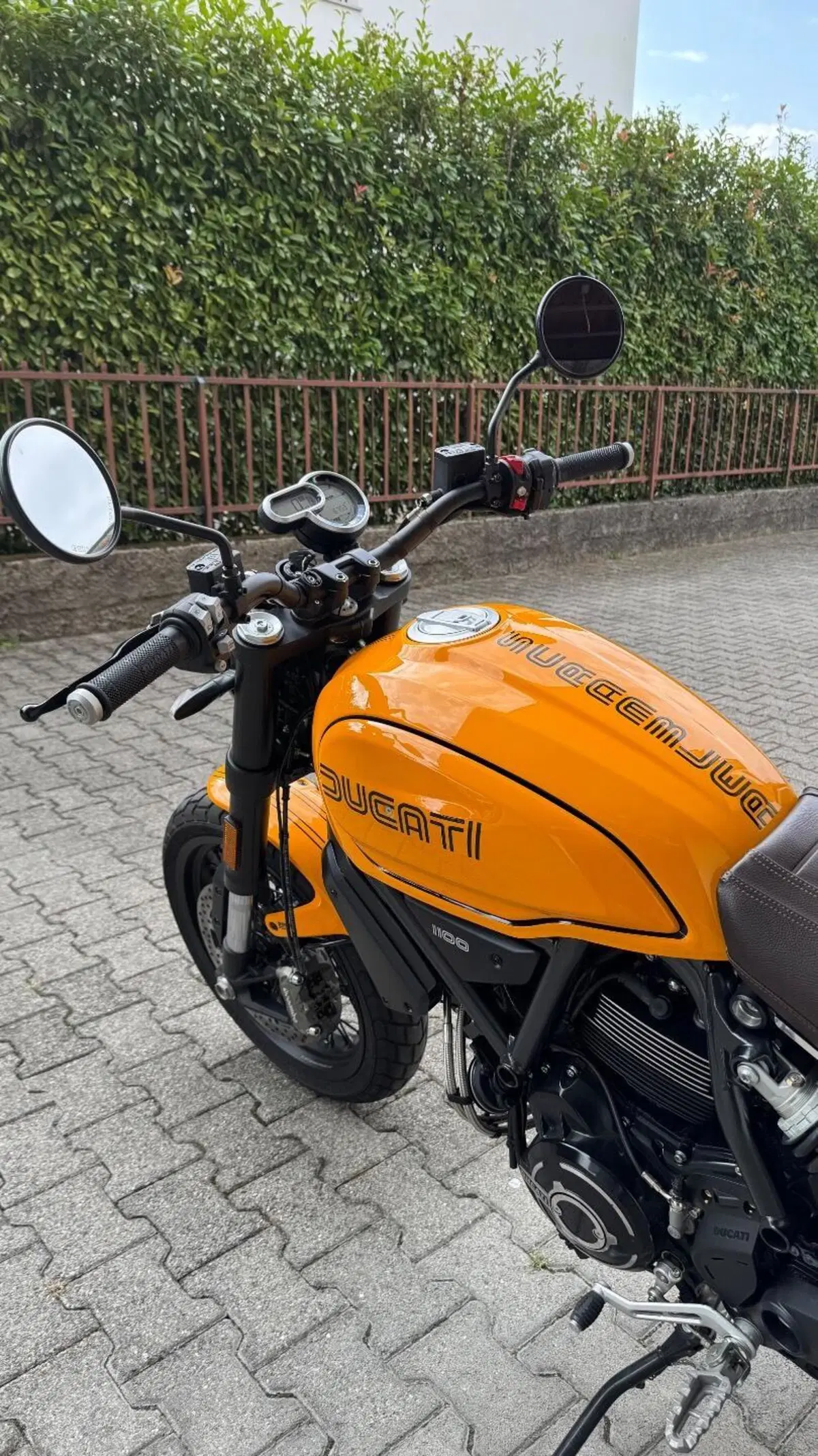 Ducati Scrambler 1100 Tribute Pro (2022 - 24) (7)