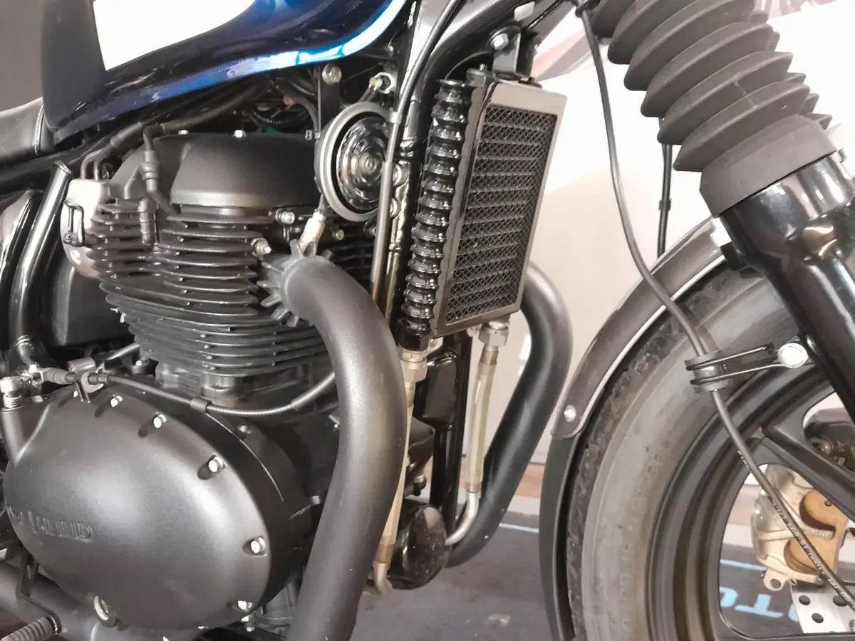 Royal Enfield Interceptor 650 (2021 - 26) (3)