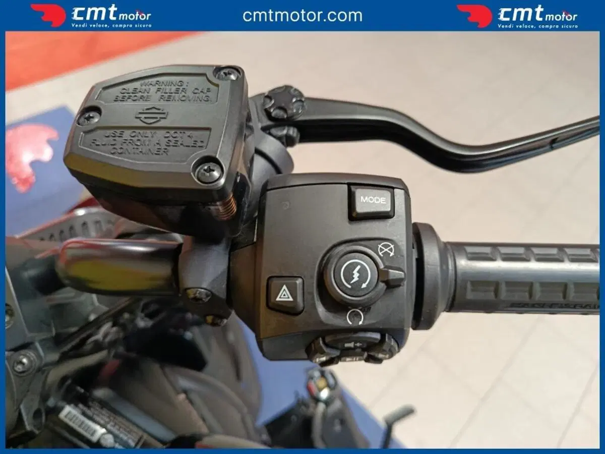 Harley-Davidson Sportster S (2022 - 24) (7)