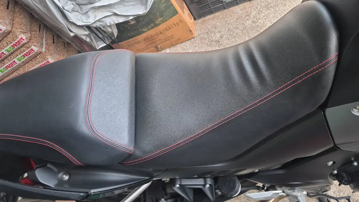 Voge Valico 500DSX (2021 - 24) (10)