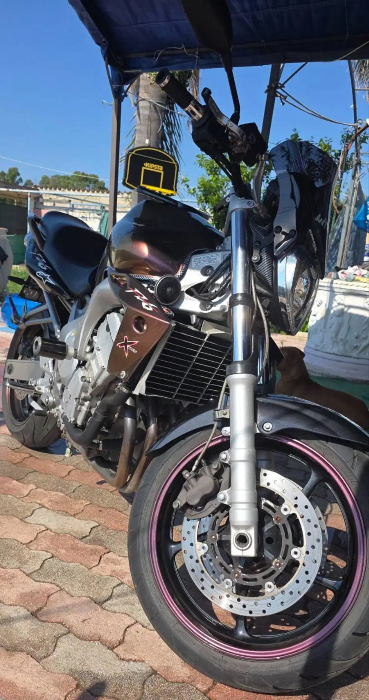 Yamaha FZ6 (2004 - 07) (3)