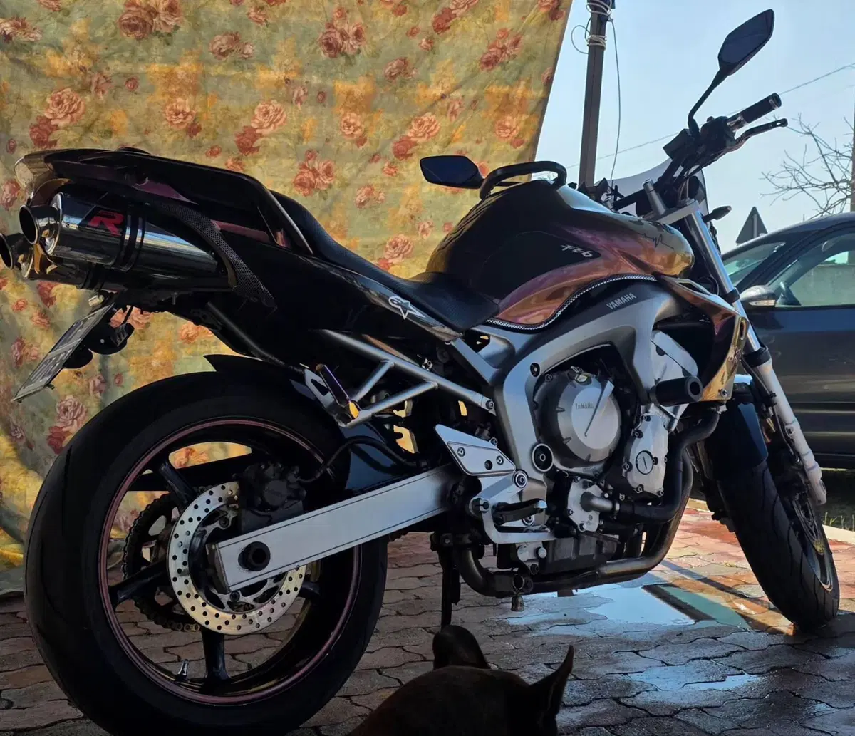 Yamaha FZ6 (2004 - 07) (2)