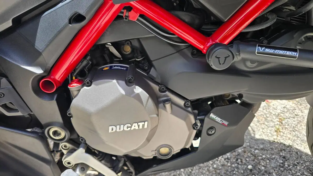 Ducati Multistrada 950 S (2019 - 20) (6)