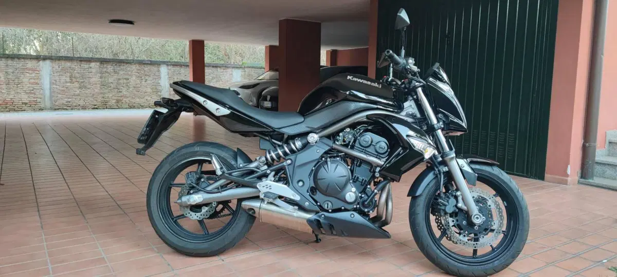 Kawasaki ER-6N (2009 - 11) (2)