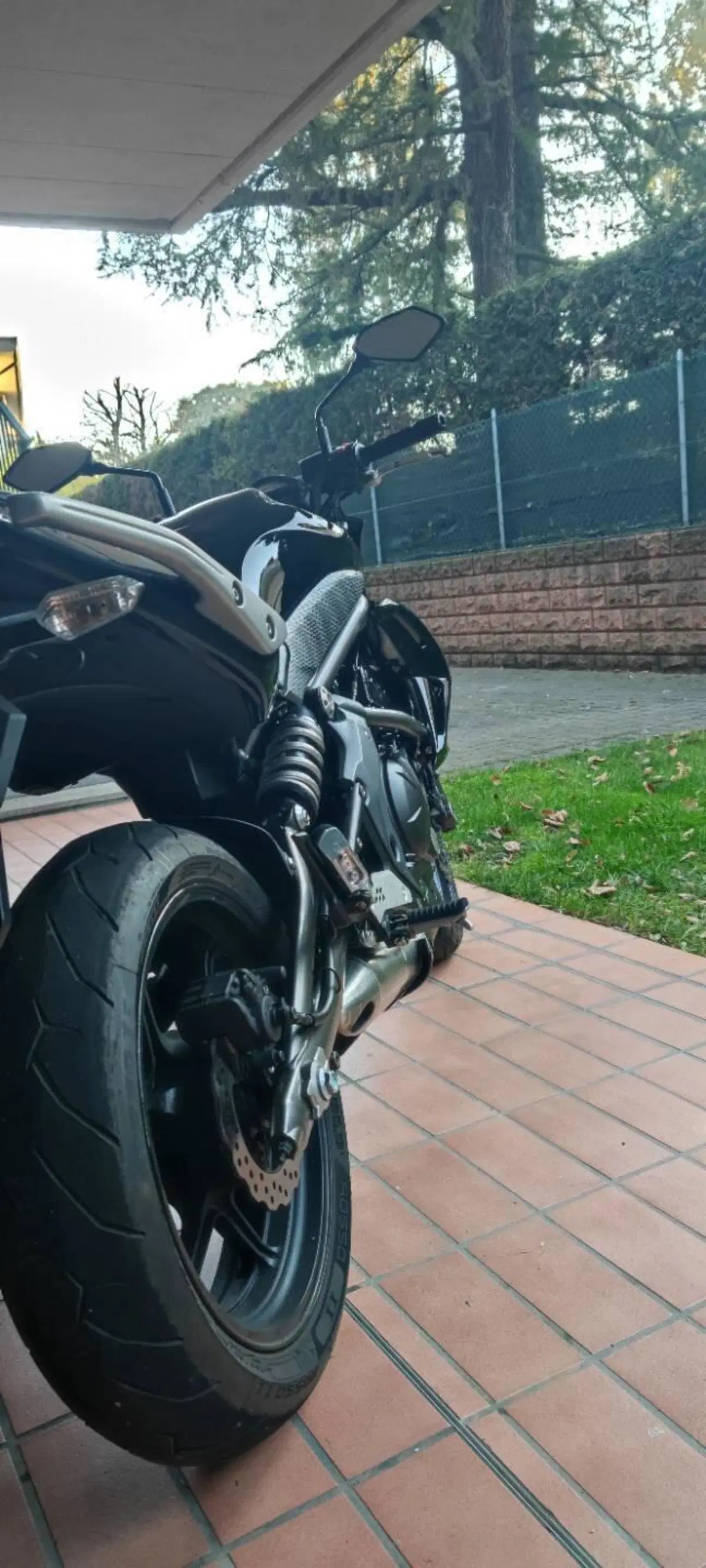 Kawasaki ER-6N (2009 - 11) (3)