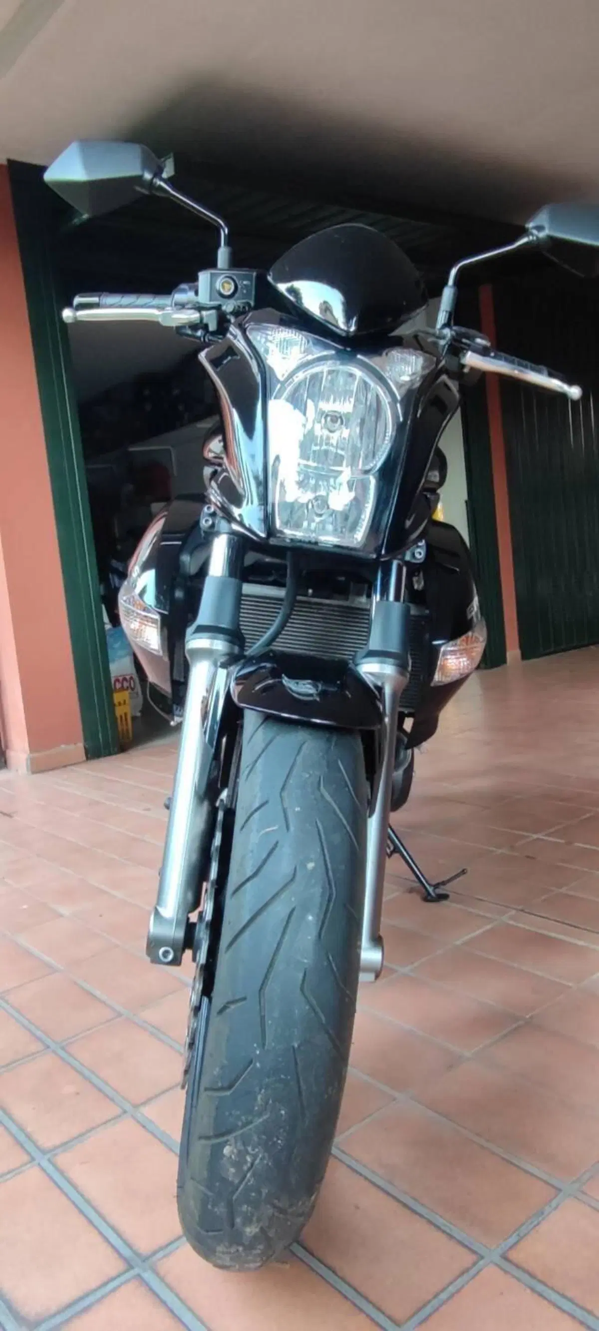 Kawasaki ER-6N (2009 - 11) (5)