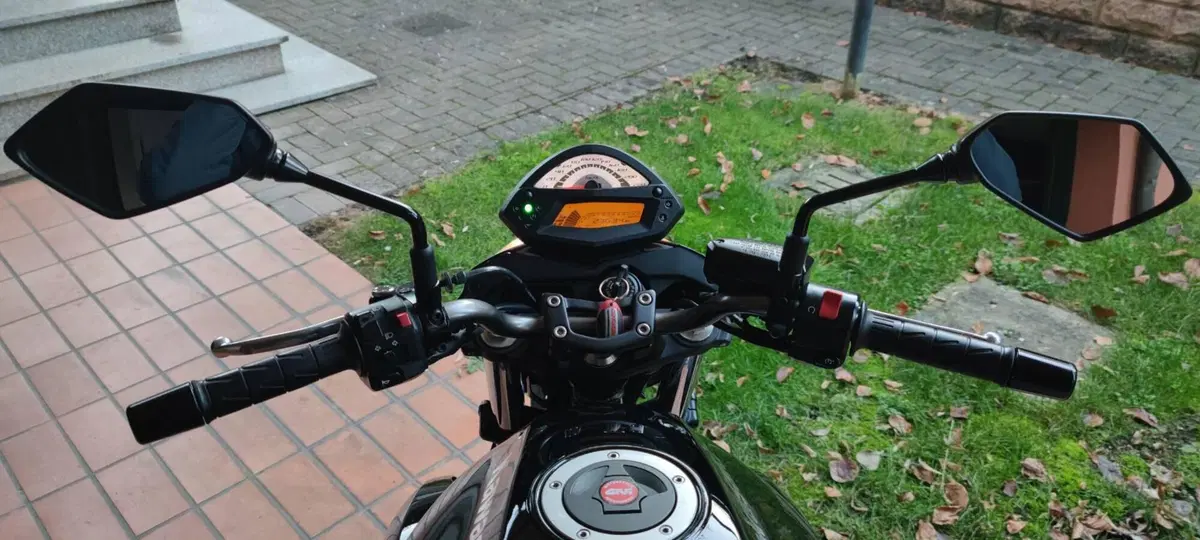 Kawasaki ER-6N (2009 - 11) (6)