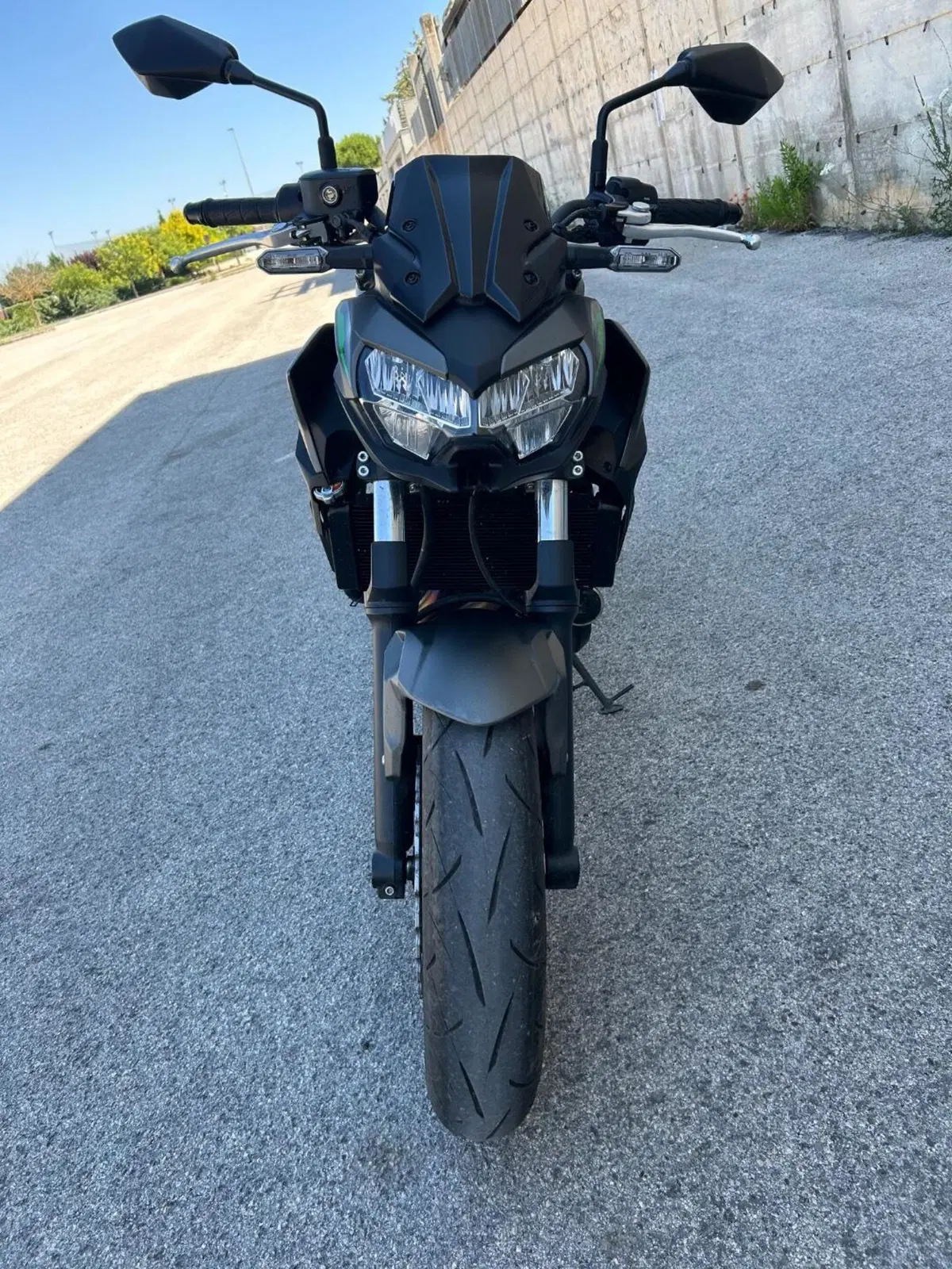 Kawasaki Z 650 (2021 - 24) (6)