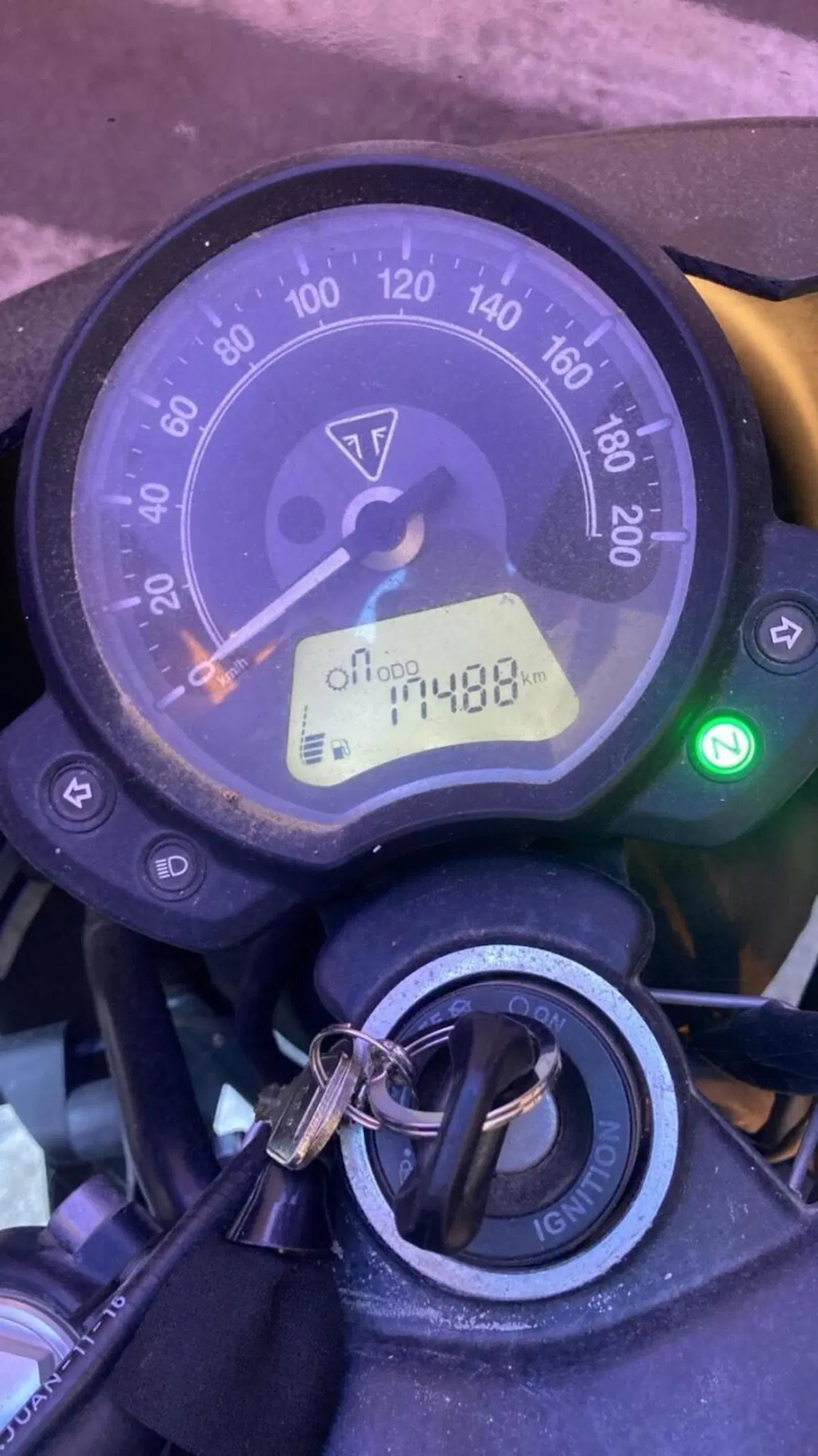 Triumph Street Scrambler 900 (2017 - 18) (6)