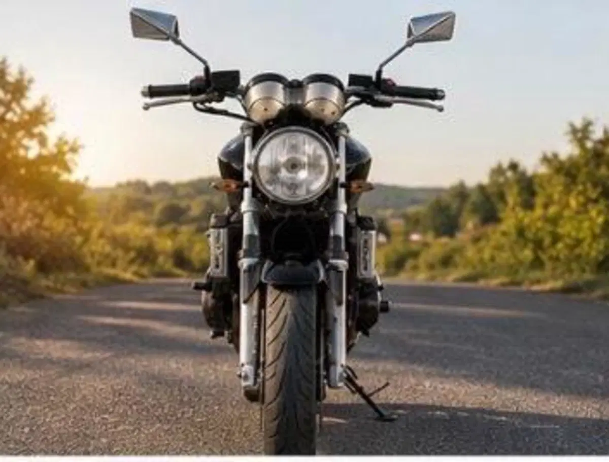 Honda Hornet 600 (2003 - 04) (3)