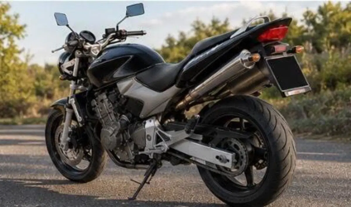 Honda Hornet 600 (2003 - 04) (4)