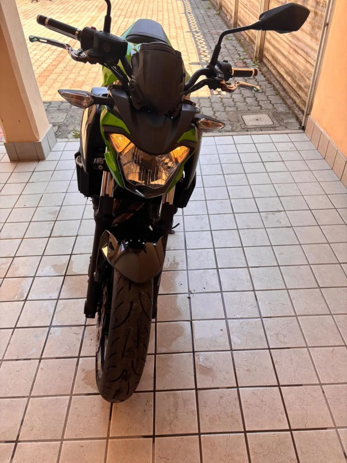Kawasaki Z 650 (2017 - 19) (4)