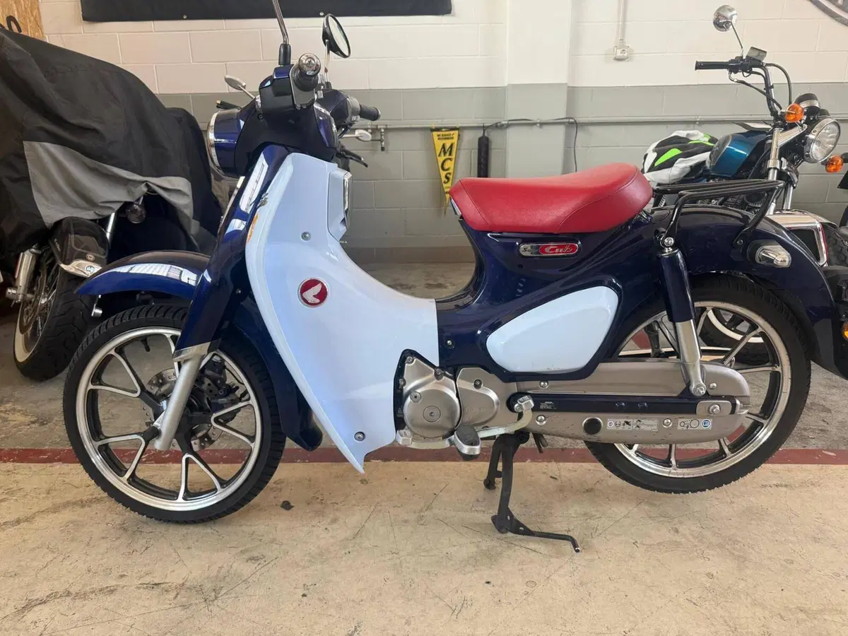 Honda Super Cub C125 (2018 - 20) (9)