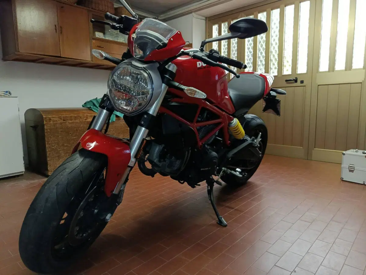 Ducati Monster 797 (2017 - 18) (3)