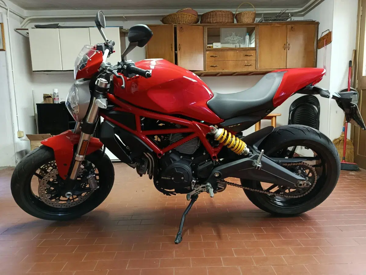 Ducati Monster 797 (2017 - 18)