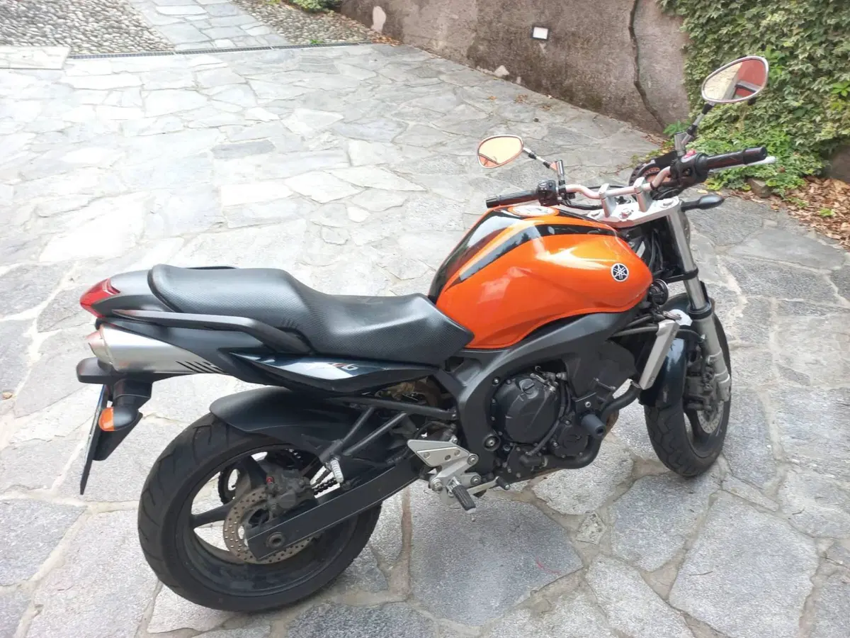 Yamaha FZ6 (2004 - 07) (3)
