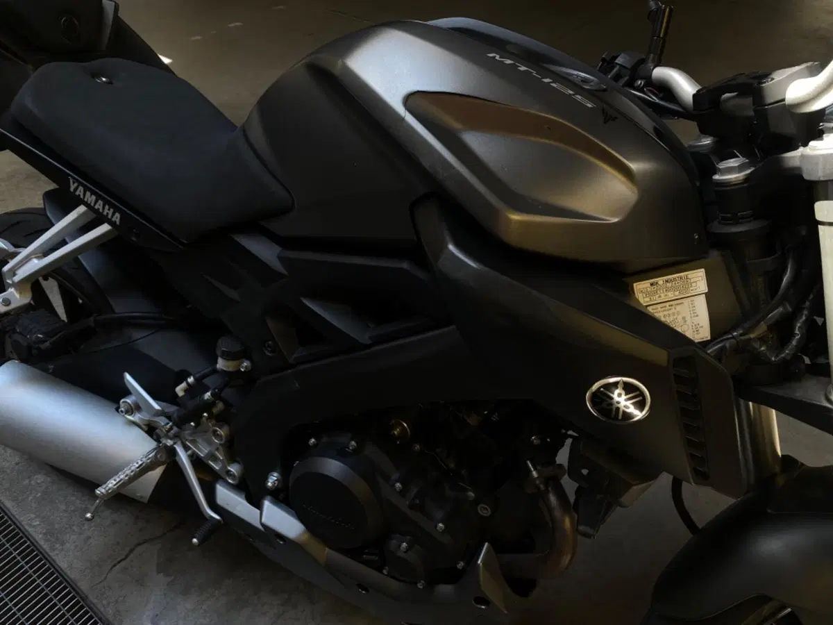 Yamaha MT-125 (2014 - 16) (4)