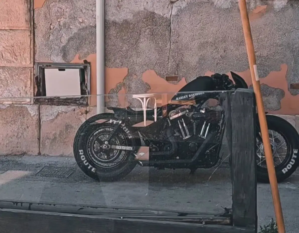 Harley-Davidson 1200 Forty-Eight (2010 - 15) (2)
