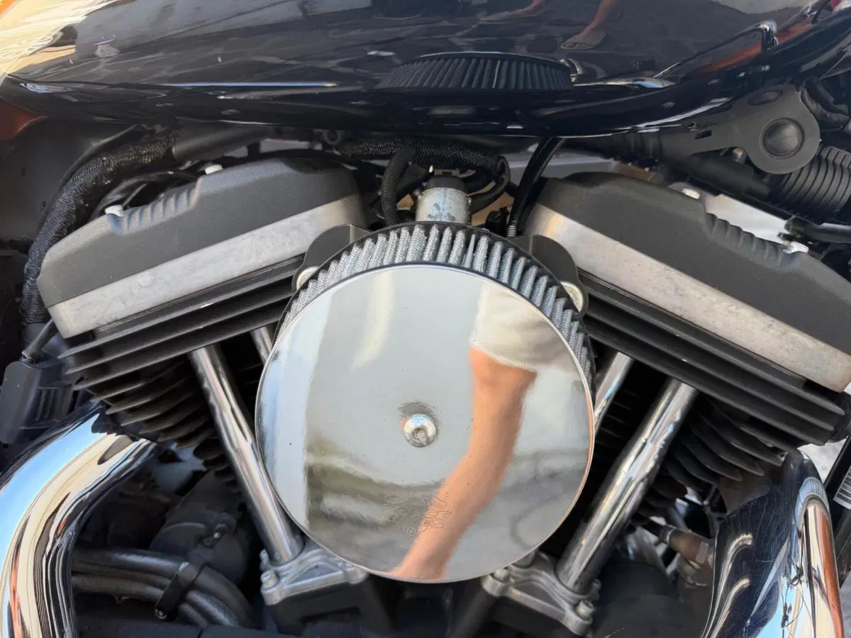 Harley-Davidson 1200 Custom ABS (2014 - 16) - XL 1200C (4)