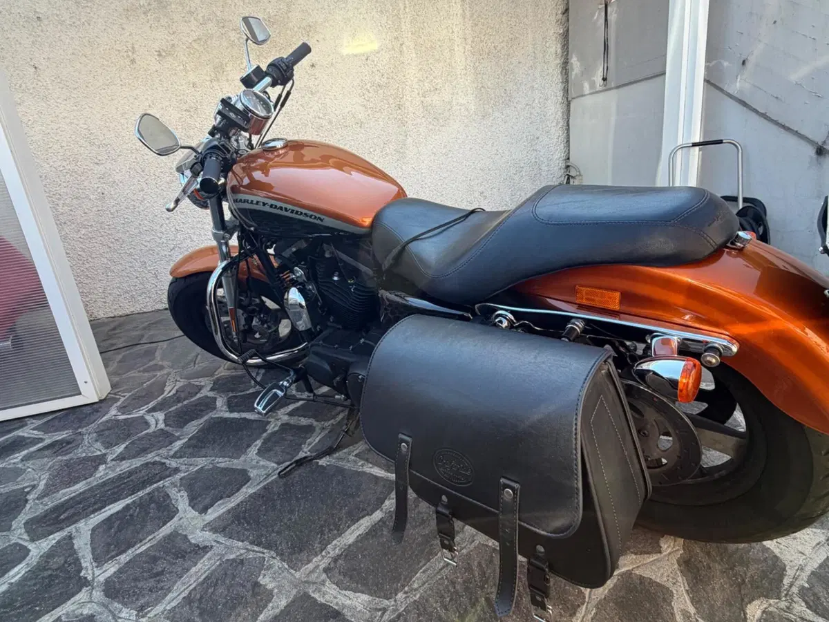 Harley-Davidson 1200 Custom ABS (2014 - 16) - XL 1200C (6)