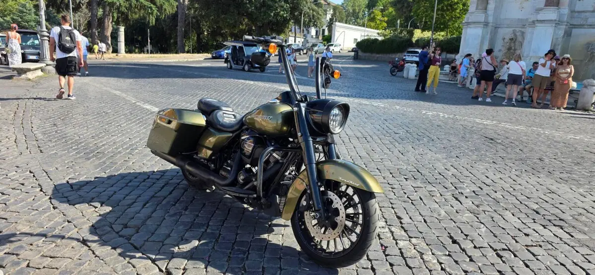Harley-Davidson 107 Road King Special (2017 - 18) - FLHRXS (2)