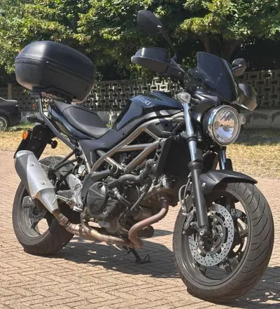 Suzuki SV650 (2021 - 24) usata