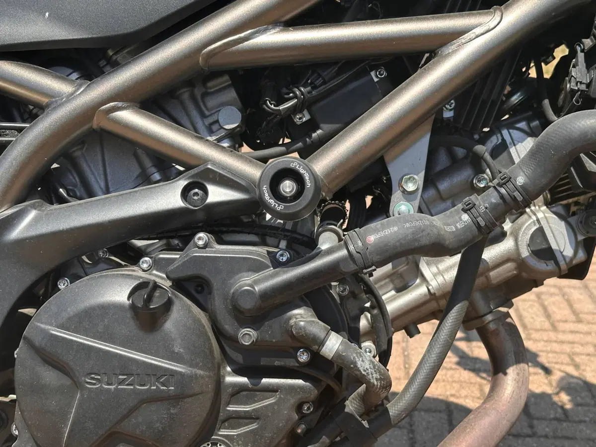 Suzuki SV650 (2021 - 24) (8)