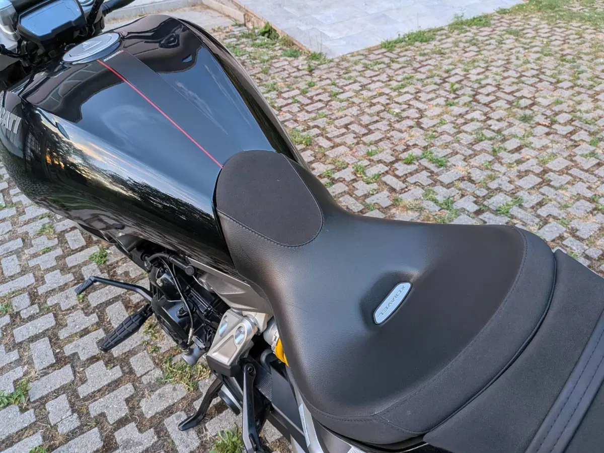 Ducati XDiavel 1262 S (2016 - 20) (9)